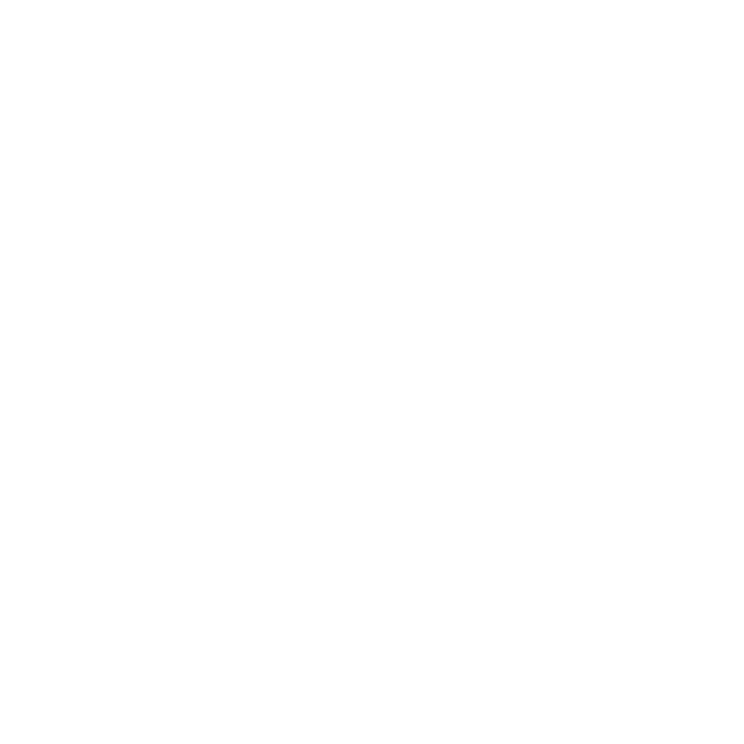 White_RNS Logo of Rise N' Shine Ranch, featuring silhouettes of various farm animals including a cow, pig, chicken, turkey, and duck, with the text indicating its location in Black Forest, Colorado.